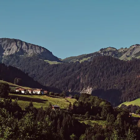 L'alpaga, A Beaumier 5*
