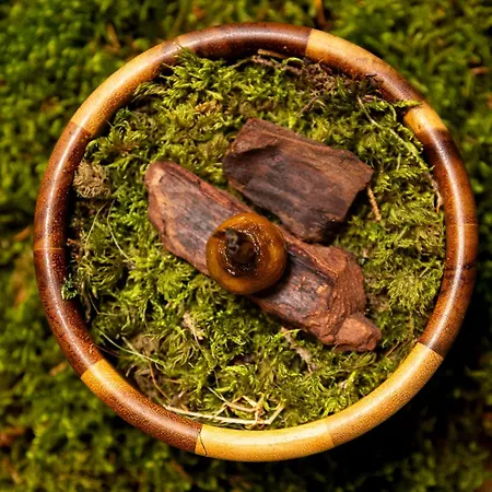 L'alpaga, A Beaumier Megève