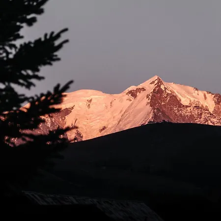 L'alpaga, A Beaumier 5*