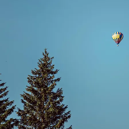 L'alpaga, A Beaumier