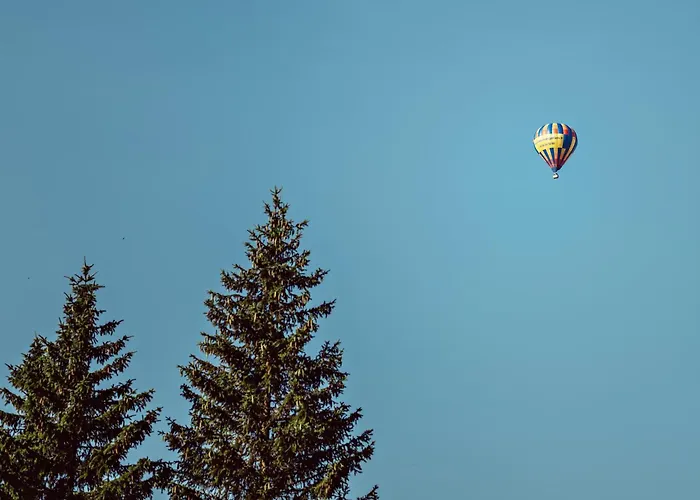 L'alpaga, A Beaumier