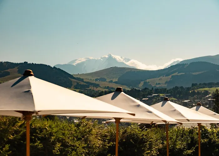 L'alpaga, A Beaumier